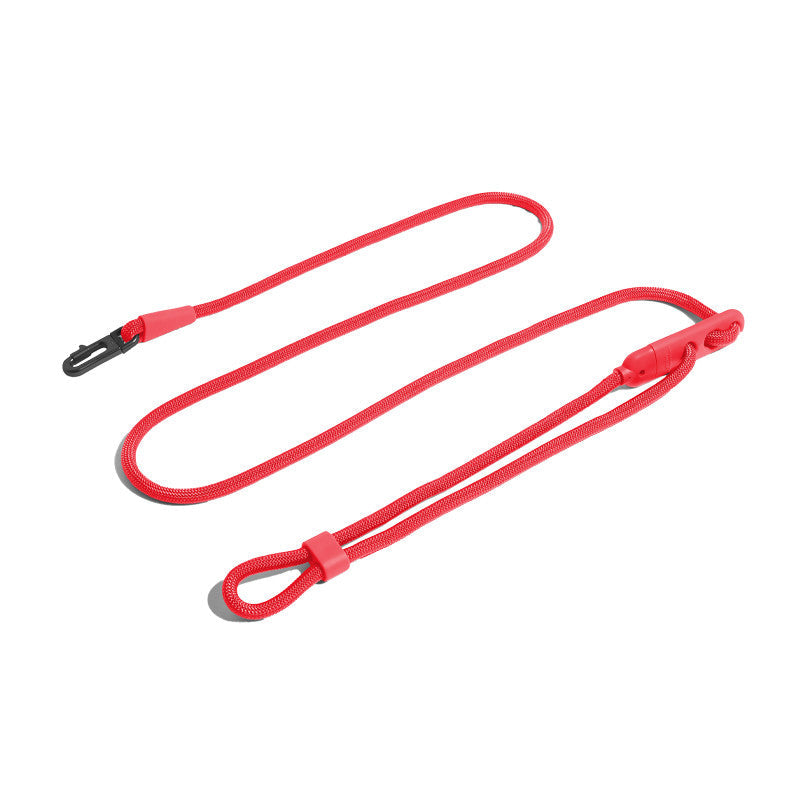 The Essential Leash for Stylish Pet Owners